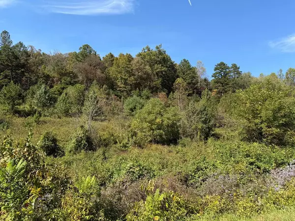 9.10 Oak Grove Rd., Murphy, NC 28906