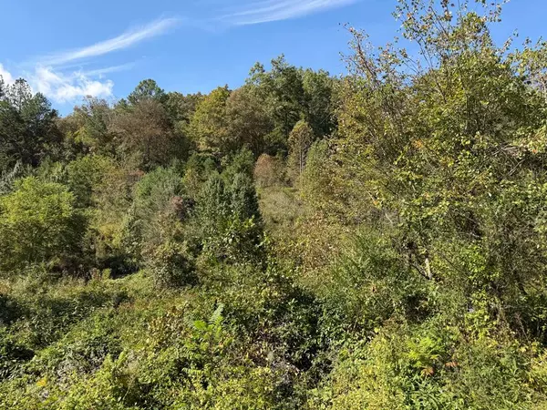 9.10 Oak Grove Rd., Murphy, NC 28906