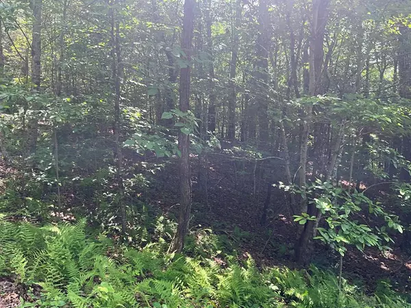 Lot 5 Bird's View Lane, Murphy, NC 28906