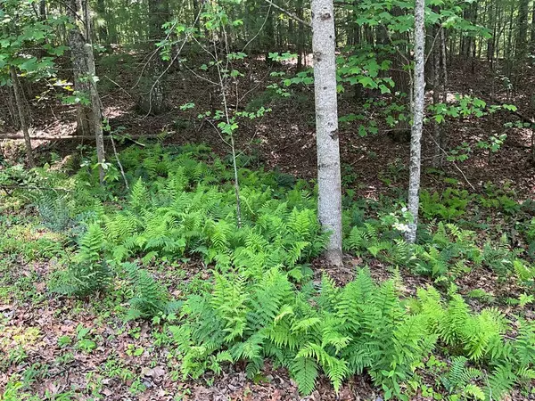 Lot 5 Bird's View Lane, Murphy, NC 28906