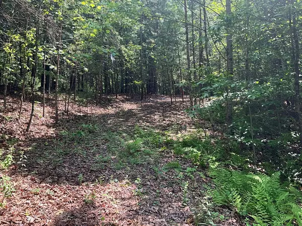 Lot 5 Bird's View Lane, Murphy, NC 28906