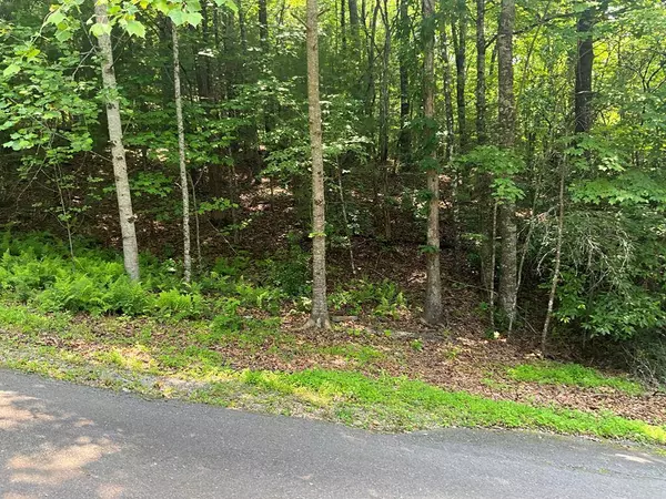 Lot 5 Bird's View Lane, Murphy, NC 28906