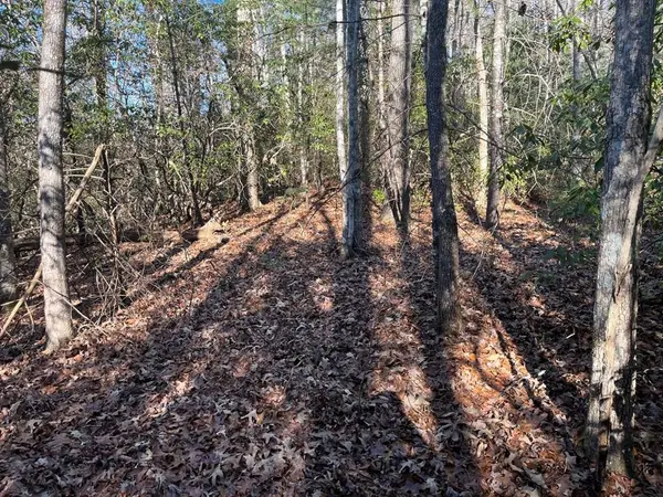 TBD Camp Creek Road, Murphy, NC 28906