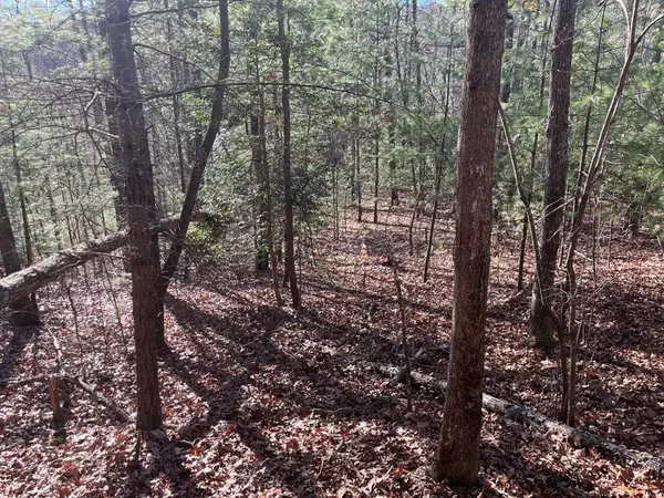 TBD Camp Creek Road, Murphy, NC 28906