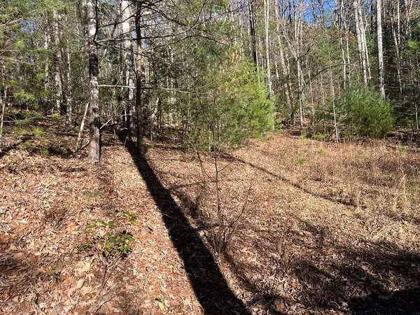 TBD Camp Creek Road, Murphy, NC 28906