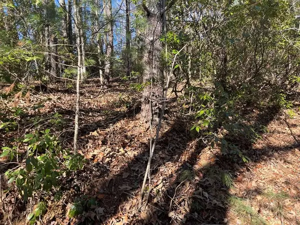 TBD Camp Creek Road, Murphy, NC 28906