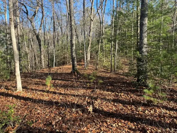 TBD Camp Creek Road, Murphy, NC 28906