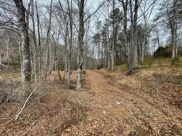 000 Chimney Top Trail, Murphy, NC 28906