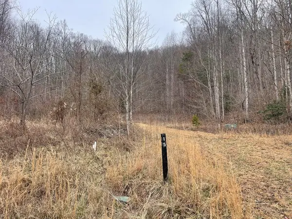 000 Chimney Top Trail, Murphy, NC 28906