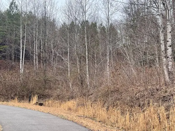 000 Chimney Top Trail, Murphy, NC 28906