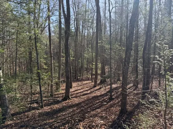 1156 Liberty Road, Murphy, NC 28906