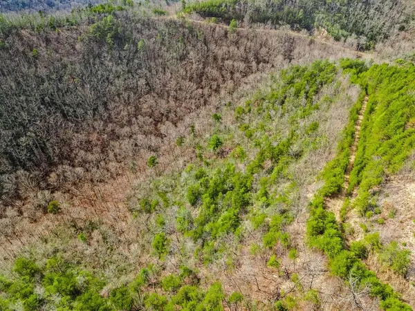 13 Acres American Eagle Rd., Murphy, NC 28906