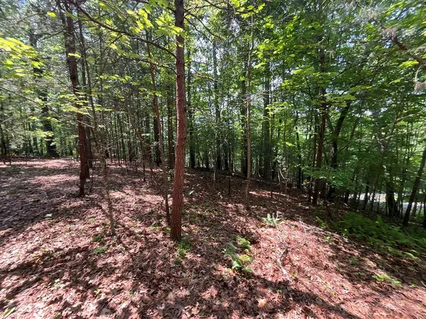 5 Birds View Lane, Murphy, NC 28906