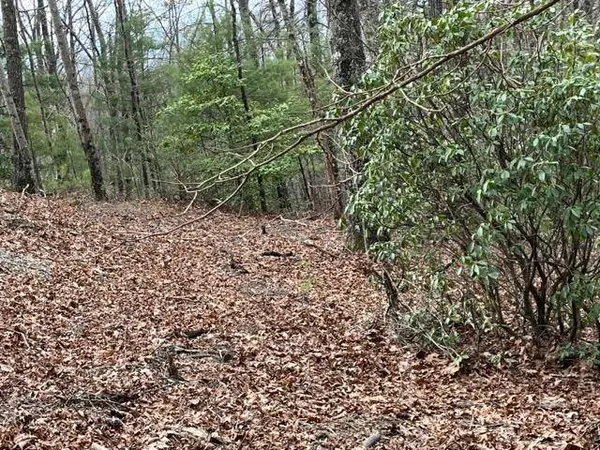 Lot 33 Sahkanaga Dr, Murphy, NC 28906