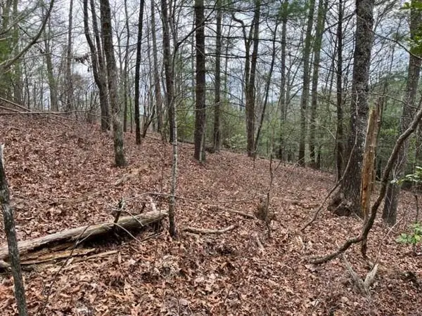 Lot 33 Sahkanaga Dr, Murphy, NC 28906