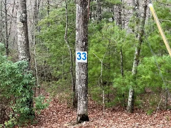 Lot 33 Sahkanaga Dr, Murphy, NC 28906