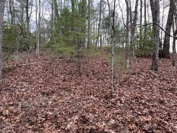 Lot 33 Sahkanaga Dr, Murphy, NC 28906