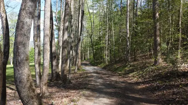 8158 Beaver Dam Road, Murphy, NC 28906