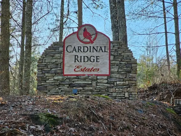 16 Merlin Trail, Murphy, NC 28906