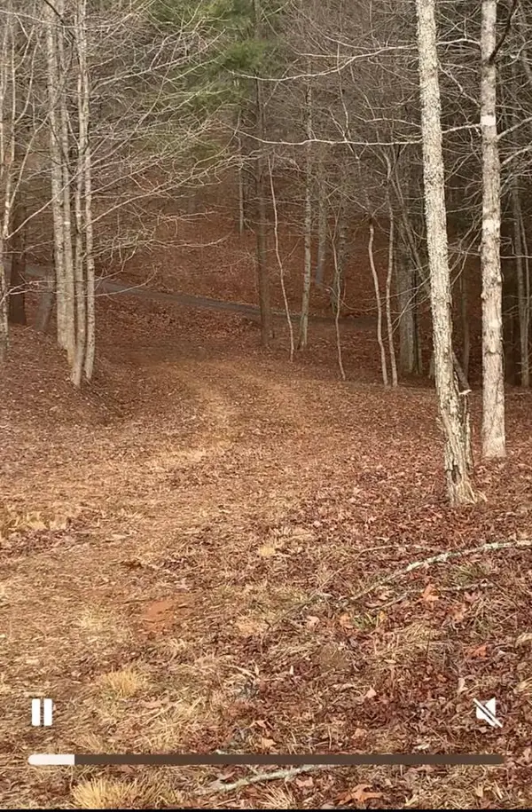 16 Merlin Trail, Murphy, NC 28906