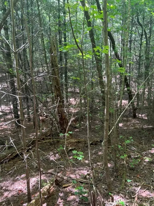 Lot 6&7 Donley Road, Murphy, NC 28906