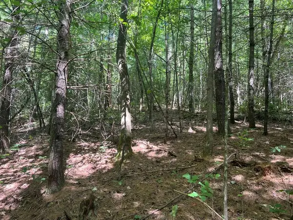 Lot 6&7 Donley Road, Murphy, NC 28906