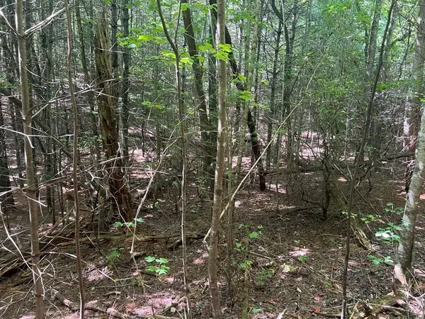 Lot 6&7 Donley Road, Murphy, NC 28906