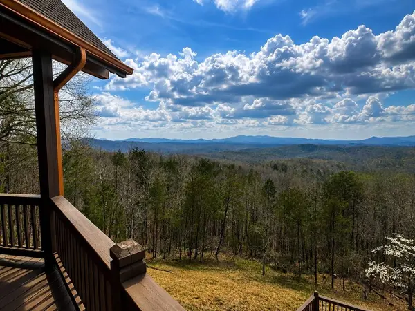 486 Henderson Ln, Mineral Bluff, GA 30559