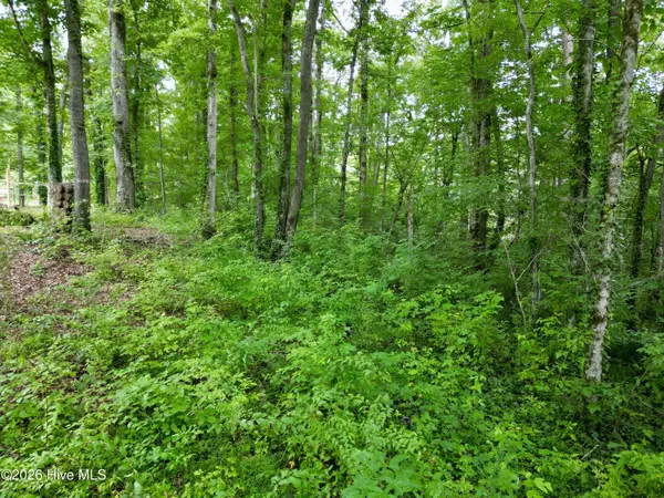 7 Heaton RD, Marble, NC 28905