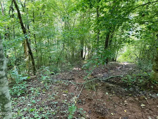 7 Heaton RD, Marble, NC 28905