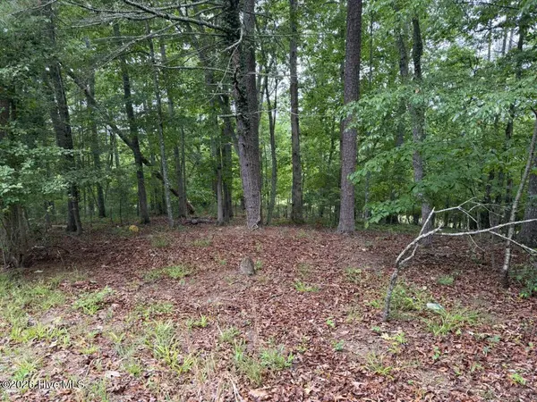 00 Snow Hill Ridge RD