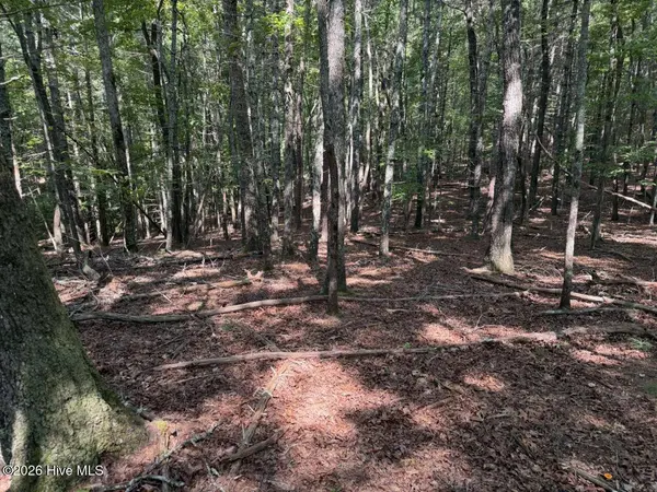 919 Panther Top RD, Murphy, NC 28906