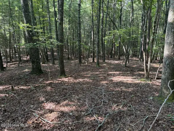 919 Panther Top RD, Murphy, NC 28906
