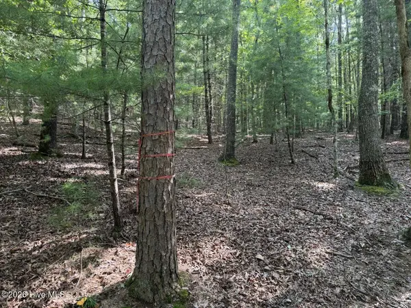 919 Panther Top RD