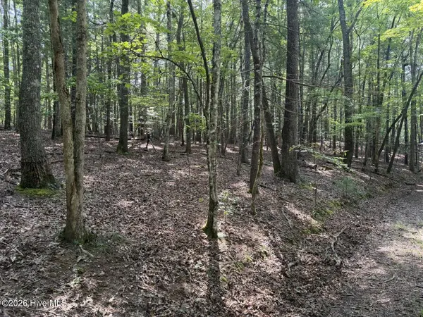 919 Panther Top RD, Murphy, NC 28906