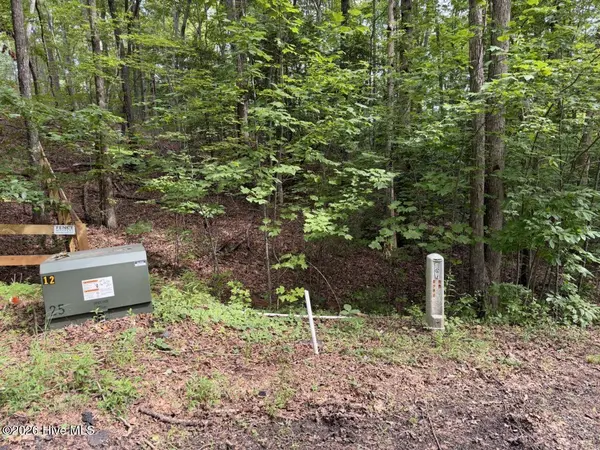 Lot 9 Confederate CIR, Murphy, NC 28906