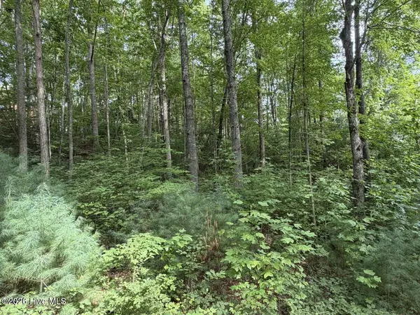 Lot 9 Confederate CIR, Murphy, NC 28906