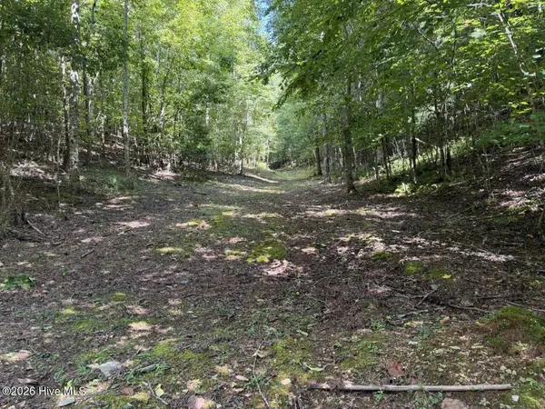 302 Dollie Sneed LN, Murphy, NC 28906