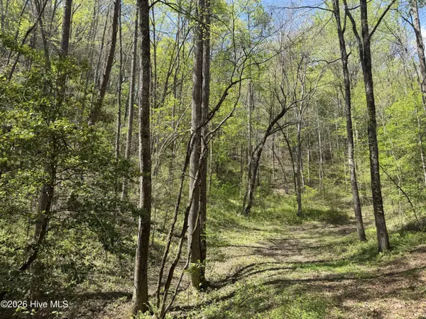 17.96 Lower Vengeance Creek RD, Marble, NC 28905