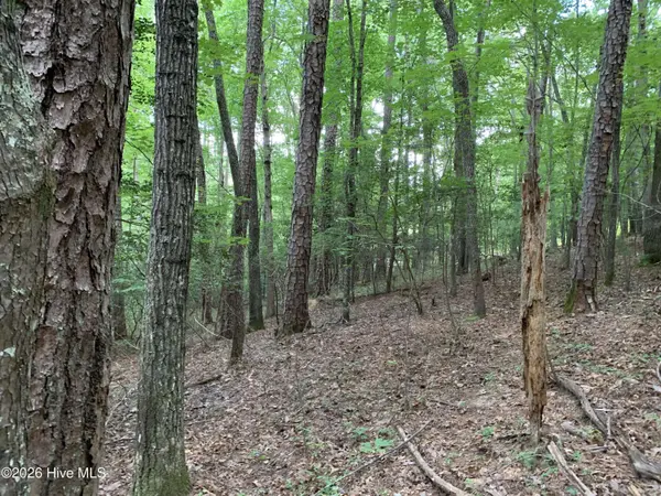 2.87 Ac Hedden RD, Murphy, NC 28906