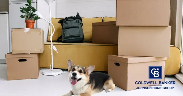 Moving with Pets to Woodbury, MN: 5 Tips for a Smooth Transition