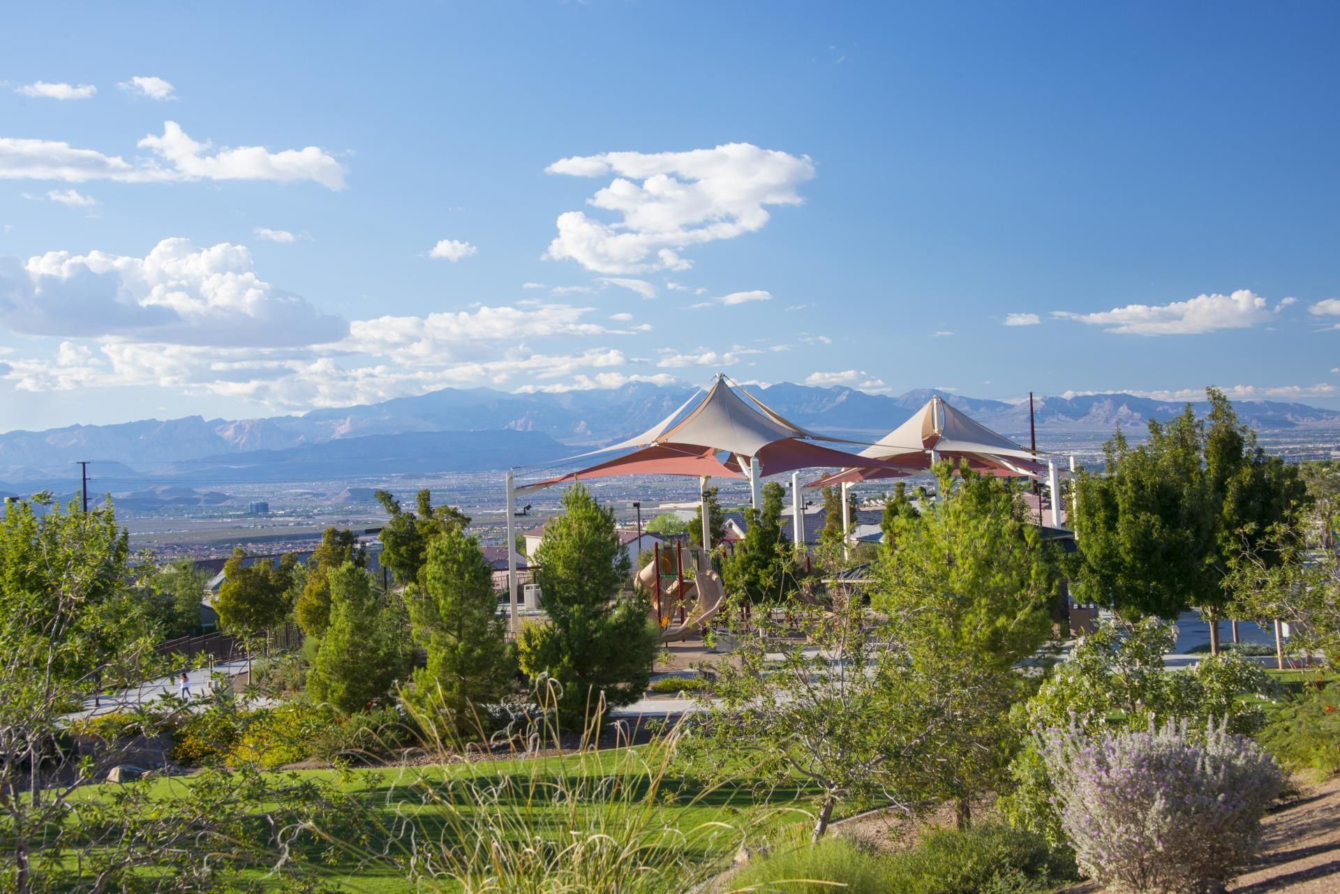 Playground and picnic area amidst desert greenery at Madeira Canyon Park
