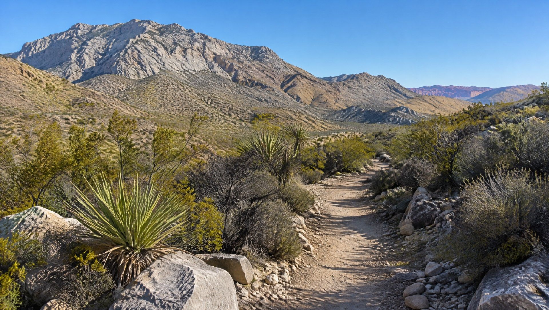 Illustration of a dirt hiking trail through desert brush toward gray and tan mountains.