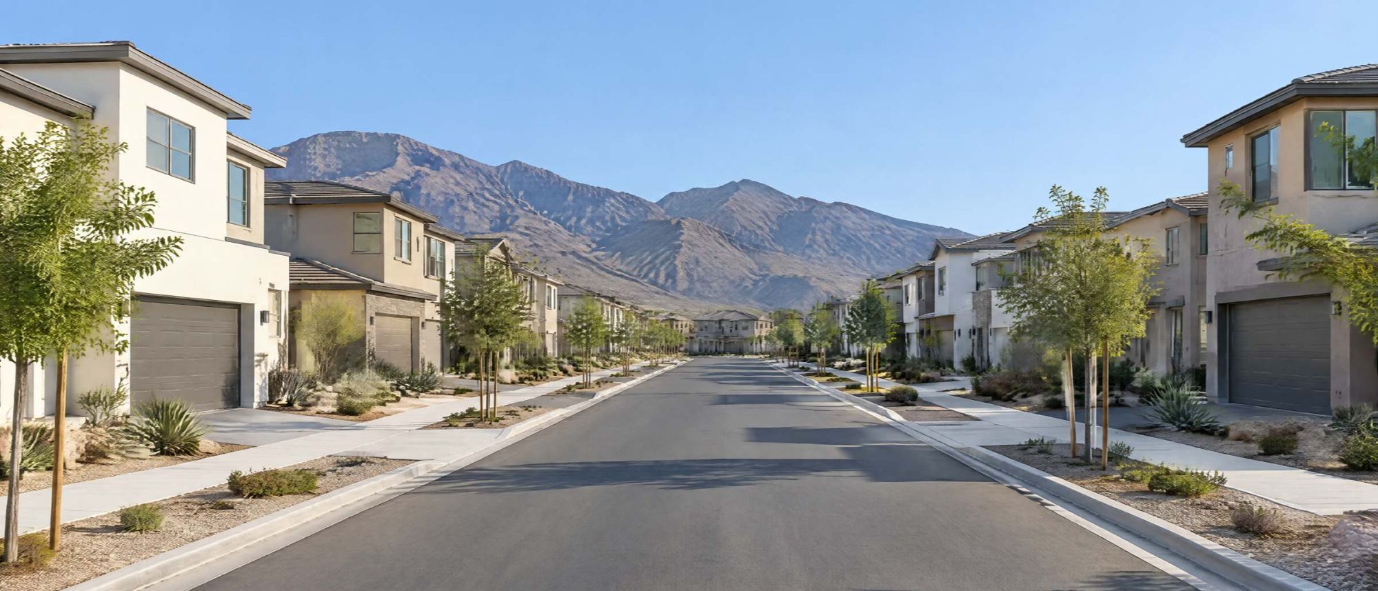 Illustration of a quiet street of newer two-story homes with desert yards.