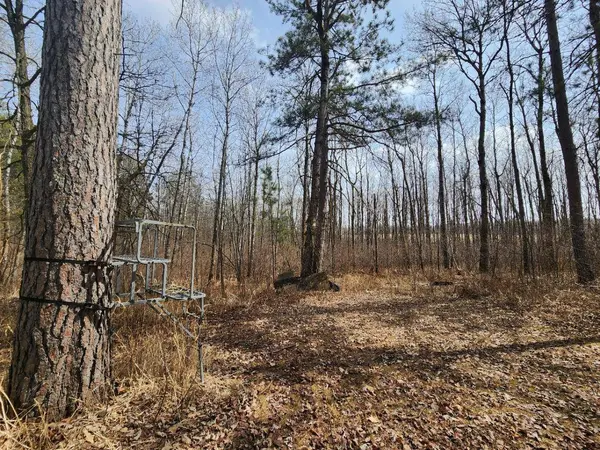 17254 281st AVE, Itasca Twp, MN 56676