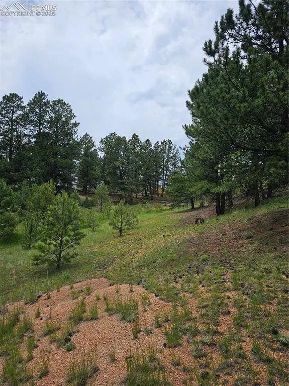 1694 County Road 512, Divide, CO 80814