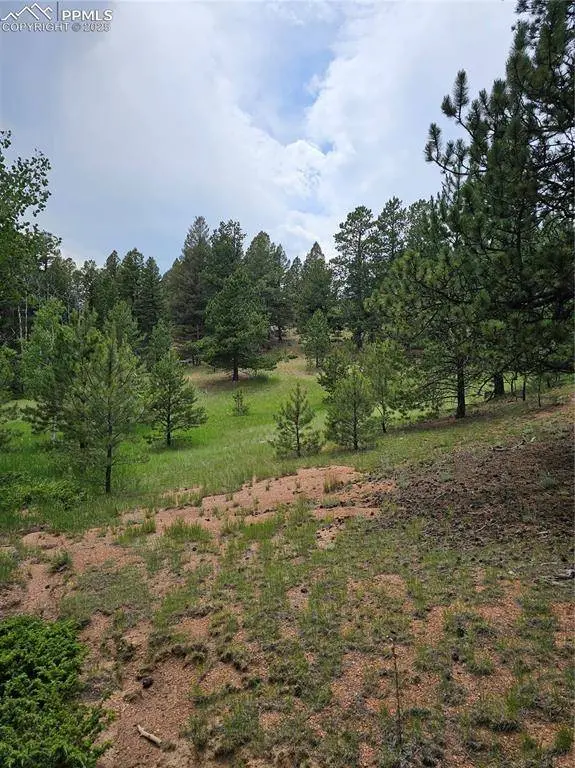 1694 County Road 512, Divide, CO 80814