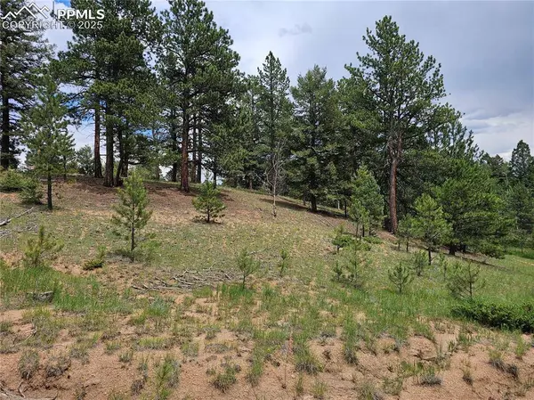 1694 County Road 512, Divide, CO 80814
