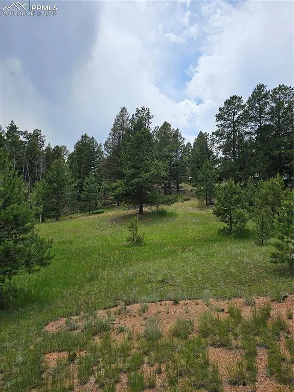 1694 County Road 512, Divide, CO 80814