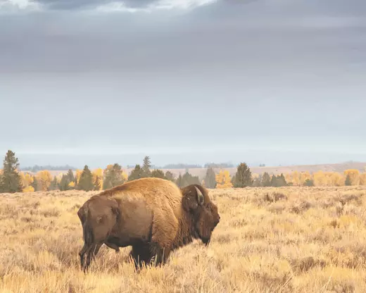 Wyoming